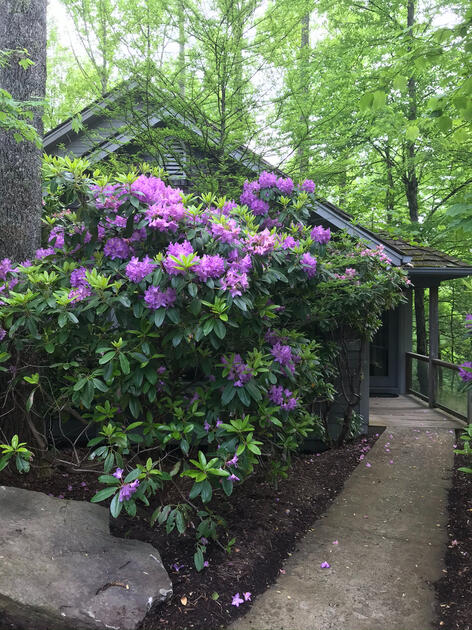 NC Mountains - Cabin